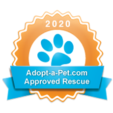Adopt A Pet Dog & Cat Rescue